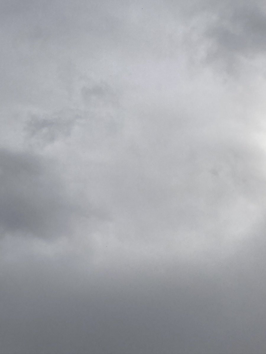 ナオキ tweet media