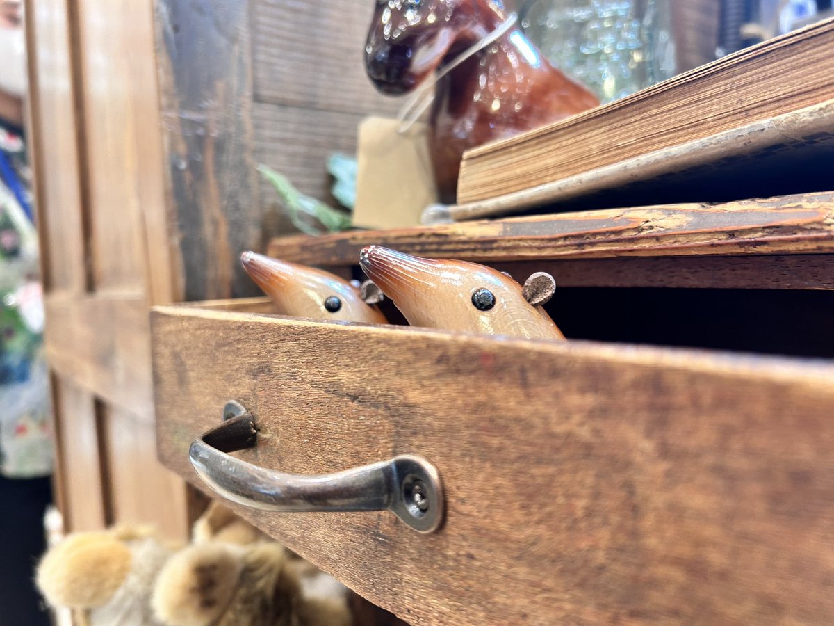 THE STUDY ROOM 仙台店@哺乳類展開催中4月1日〜5月21日まで tweet media