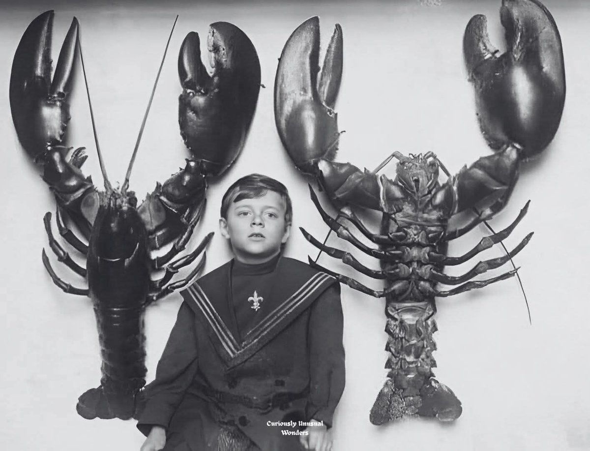 Sama Hoole tweet media