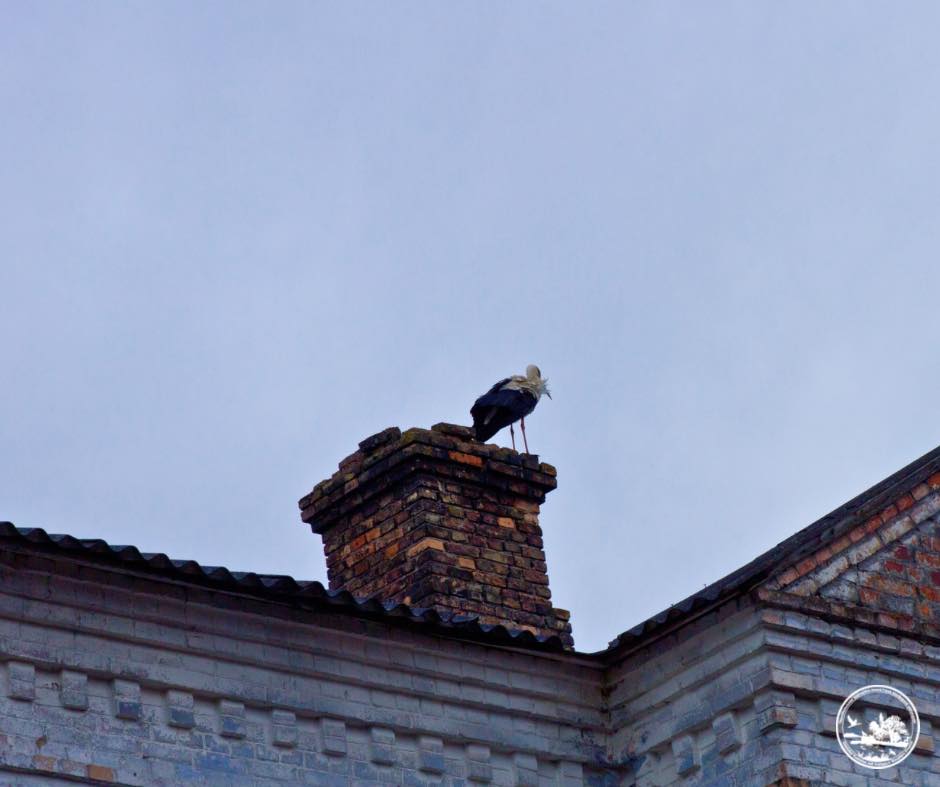 ҐРУНТ tweet media