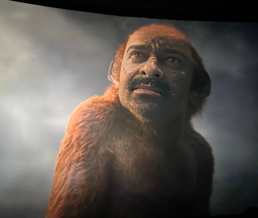 Teja Sajja Dhf 🔥💯 tweet media