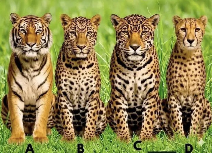 Mbali Mashinini tweet media