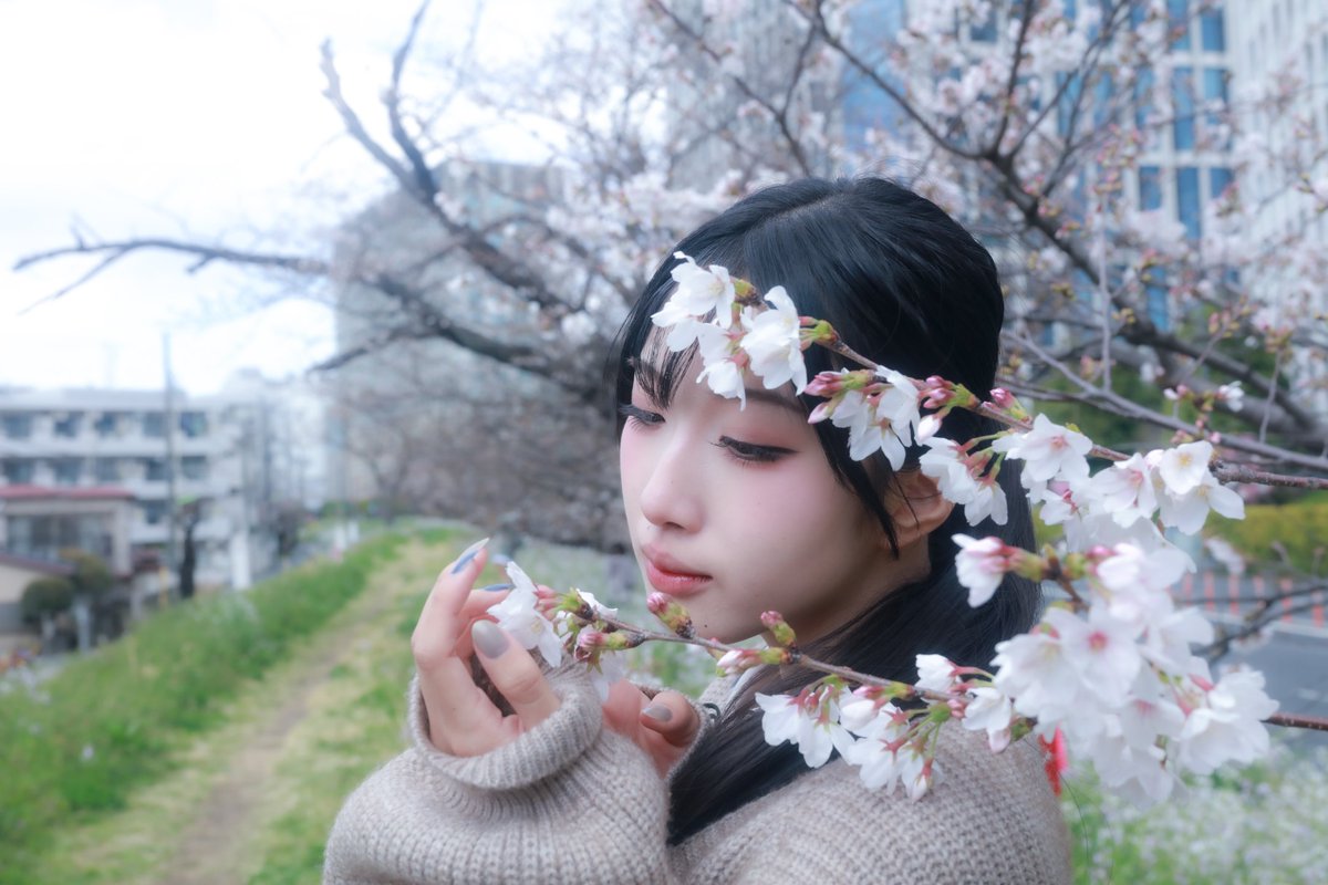 まーはー@ tweet media