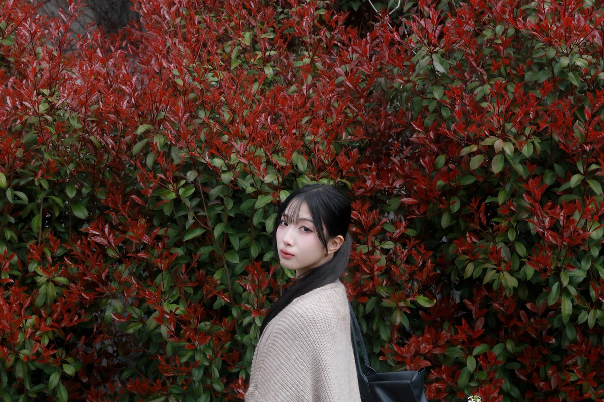 まーはー@ tweet media