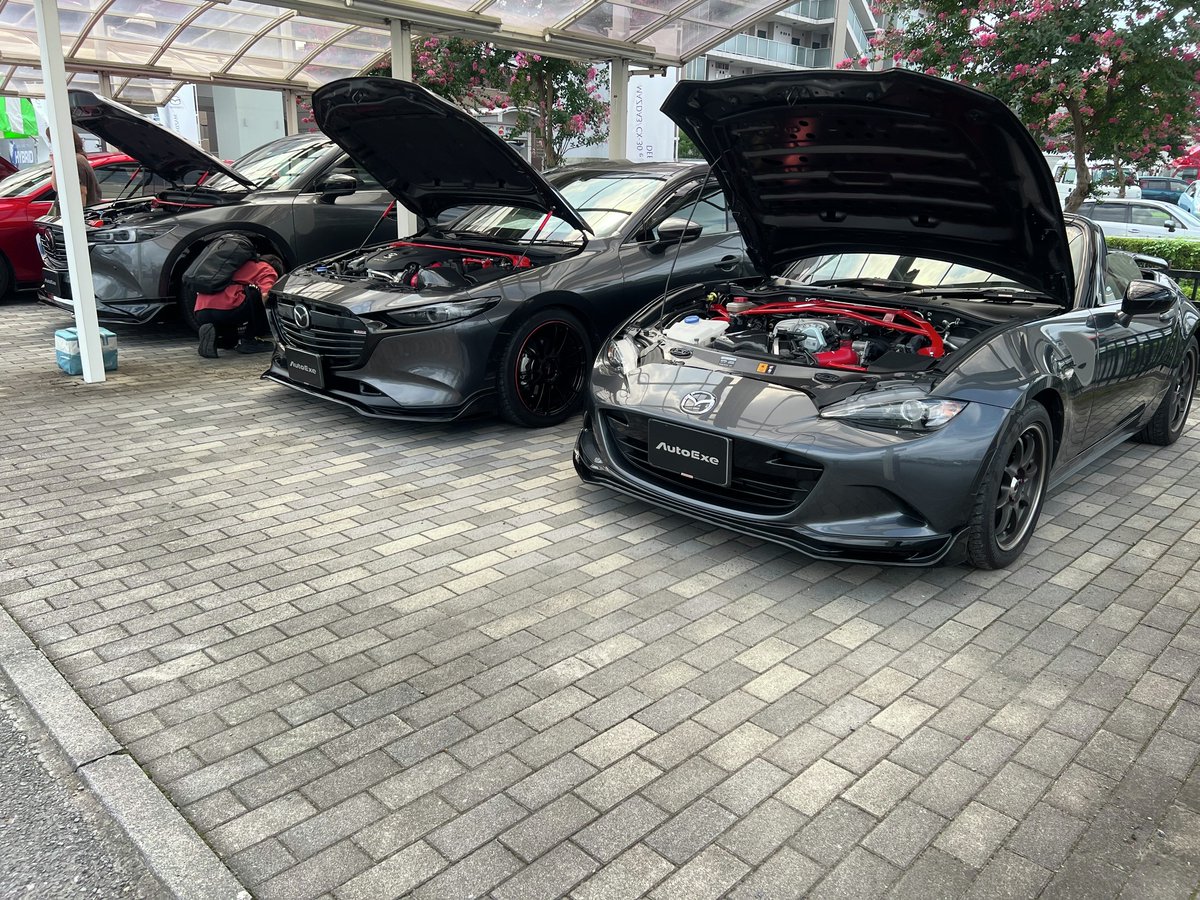 オートエクゼ/AutoExe Inc. tweet media