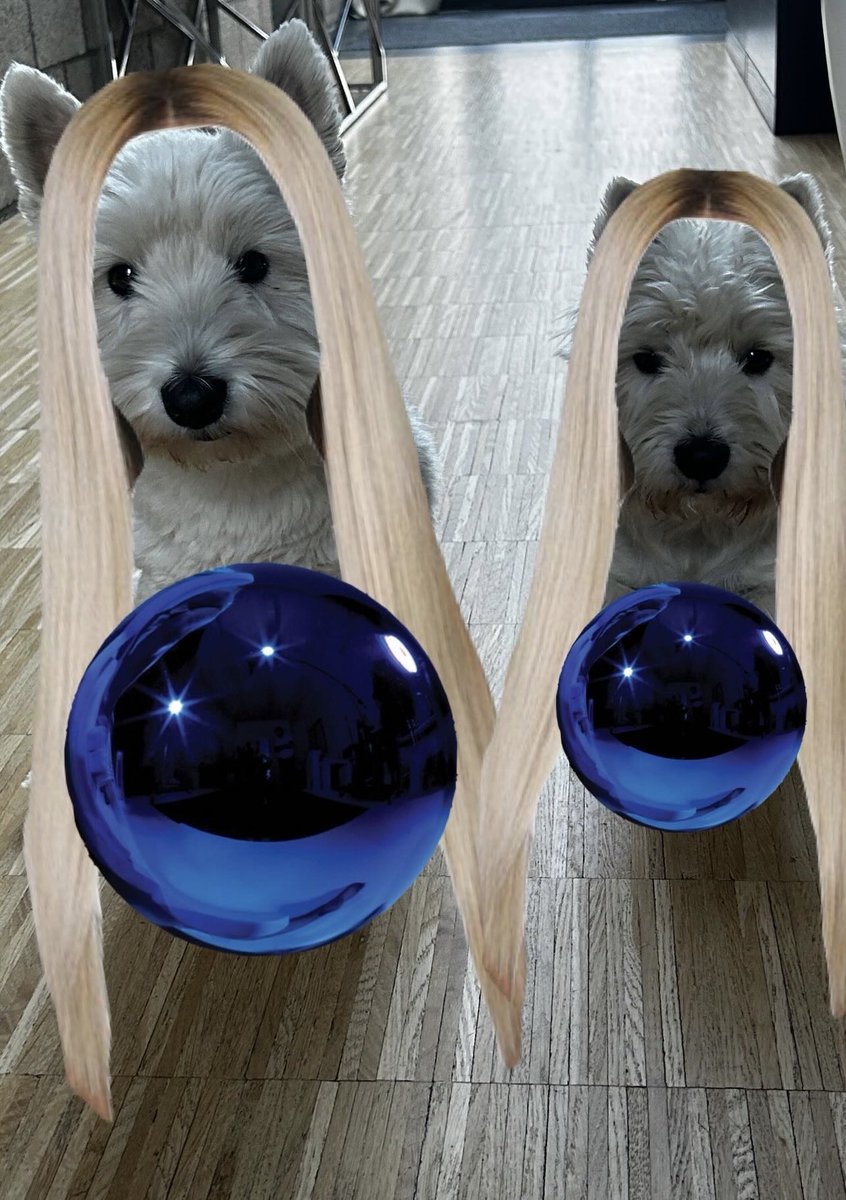 rickyschmicky tweet media