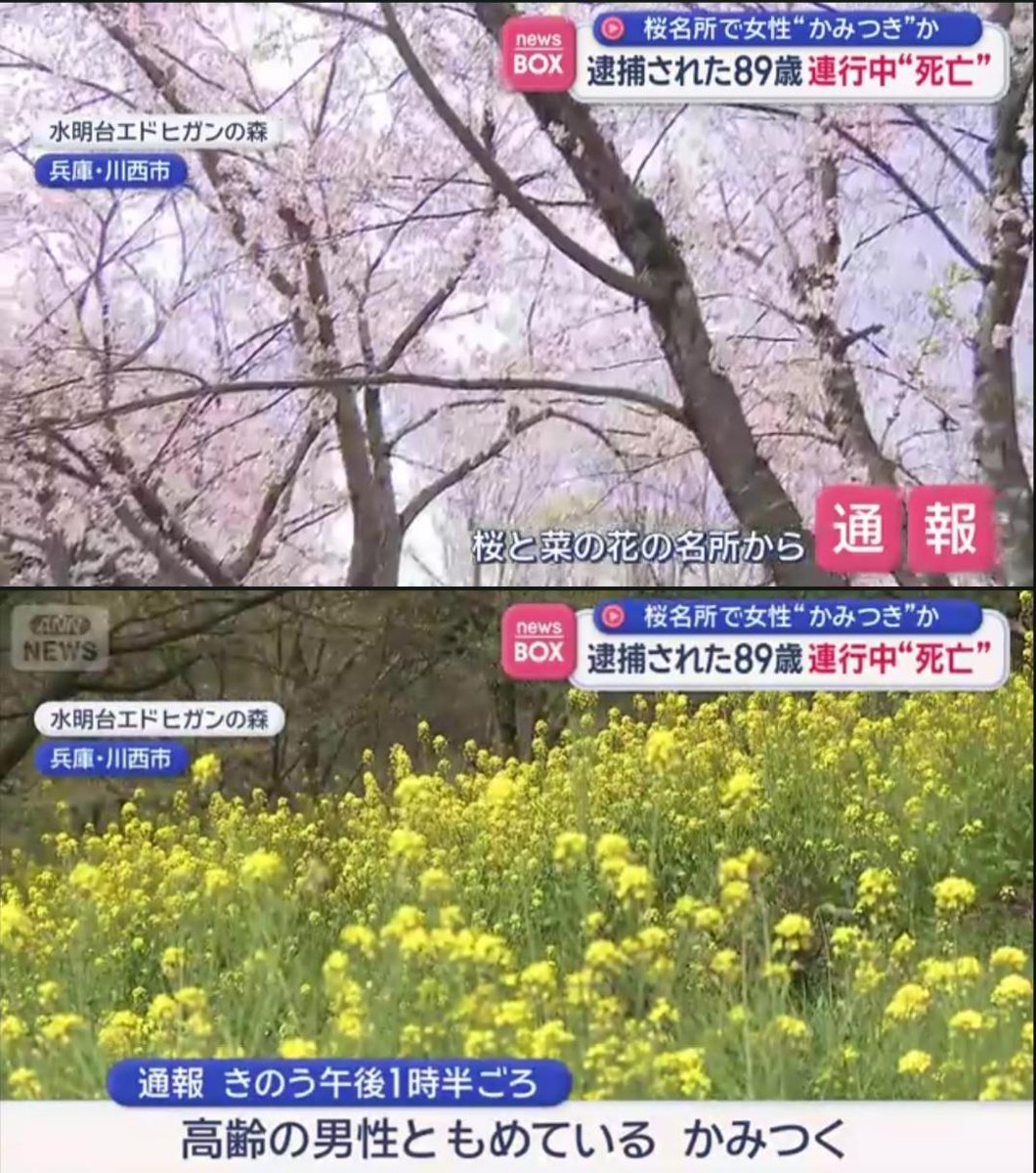 滝沢ガレソ tweet media