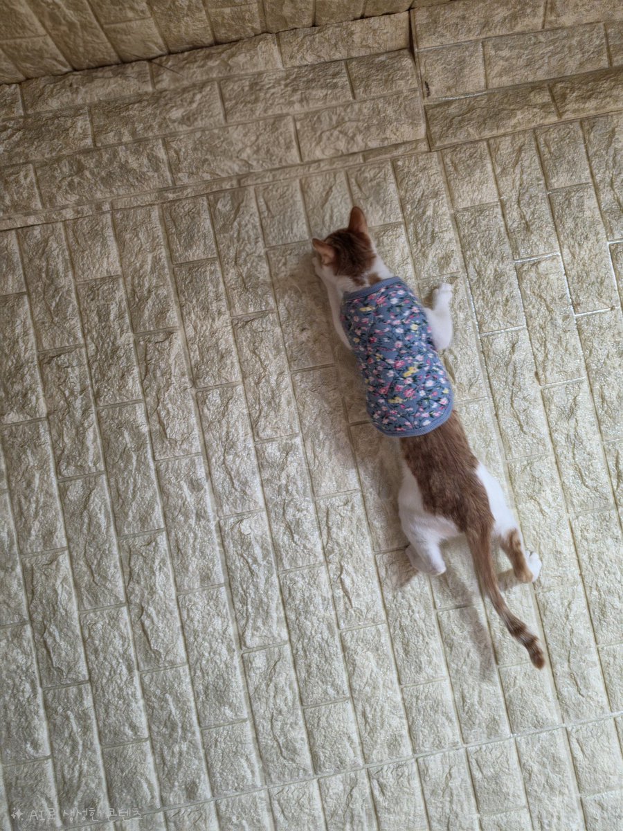 동원샘물 tweet media