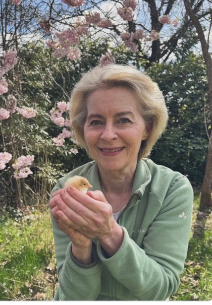 Ganesha 🇩🇪🇮🇳 tweet media