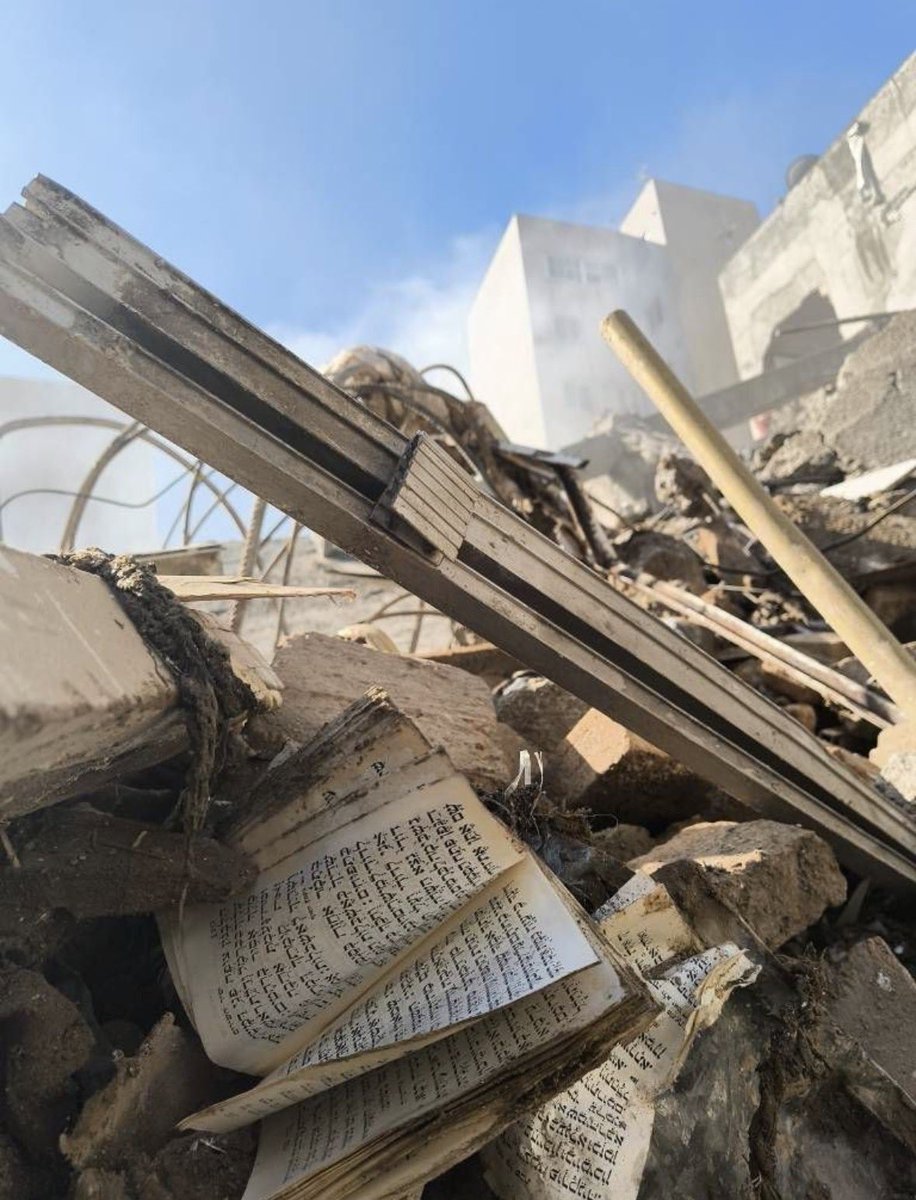 Mohsen Divan 🇮🇷 tweet media