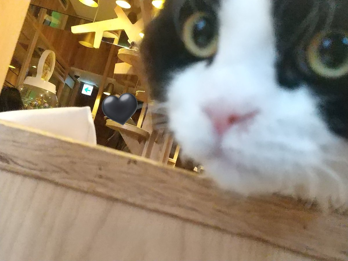 好奇なコウキ tweet media