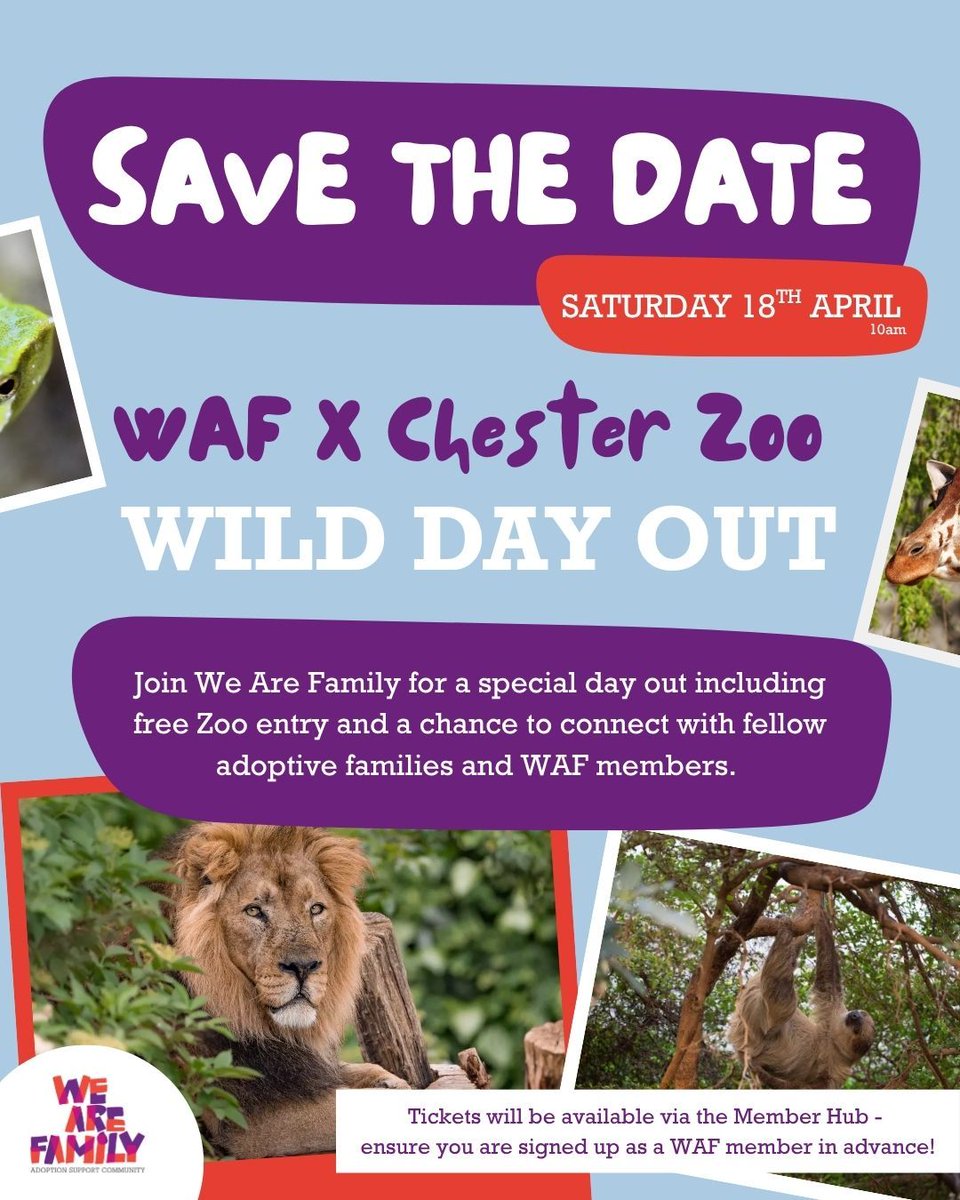 WAFadoption's tweet photo. WAF’s Wild Day Out at Chester Zoo is on Saturday 18th April!🐯🦓

👉 Meet WAF volunteers and representatives from Adoption in Merseyside, connect with other families, enjoy a communal picnic, and of course… see all the amazing animals!

Find more information on the Member Hub! https://t.co/lWVdU0Zn3u