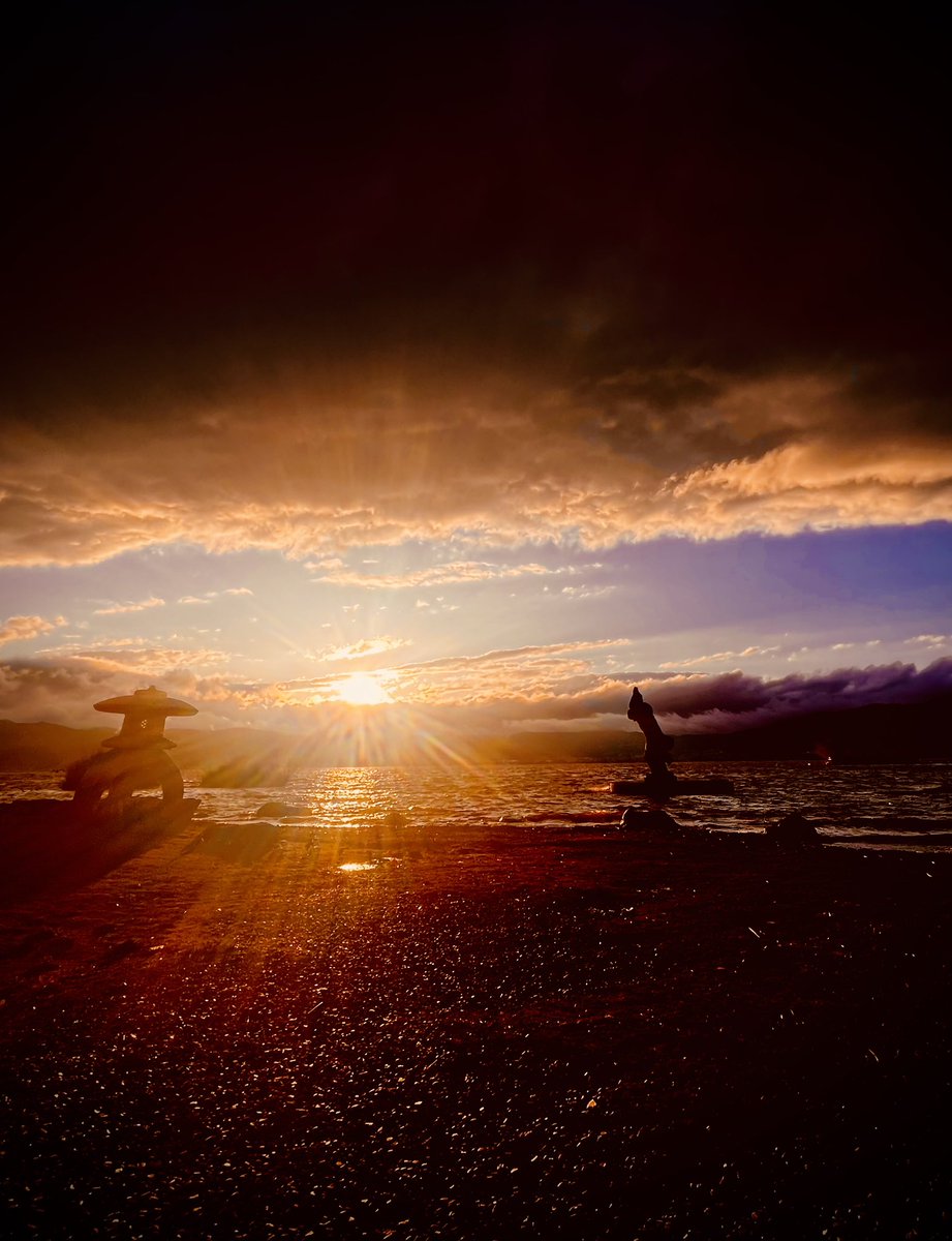 さくらのるふた tweet media