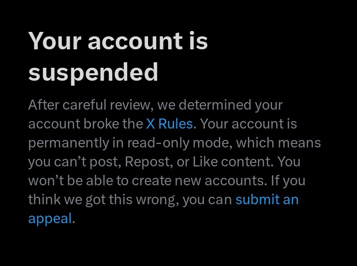 danni 2.0 | 📦 tweet media