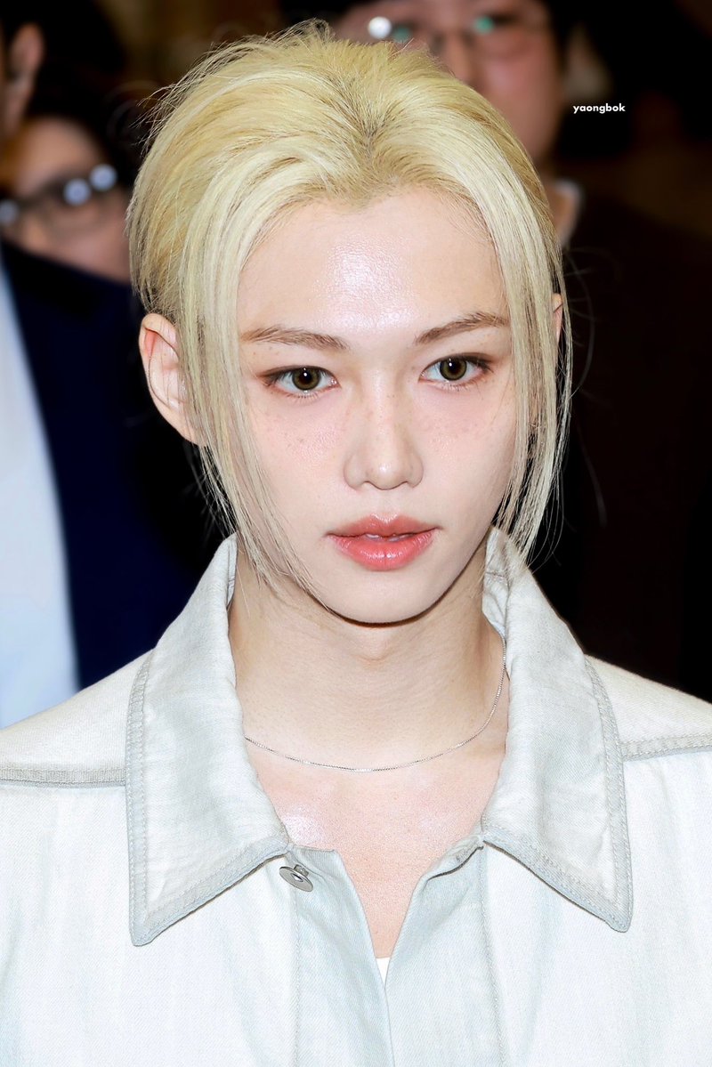 야옹뽁 tweet media