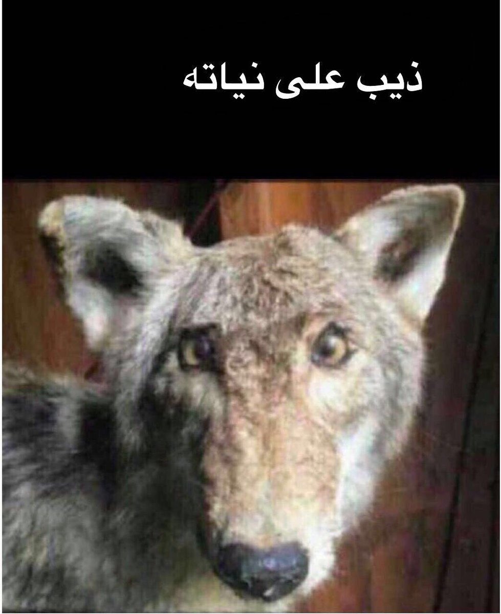 H or NothingToSay.. tweet media