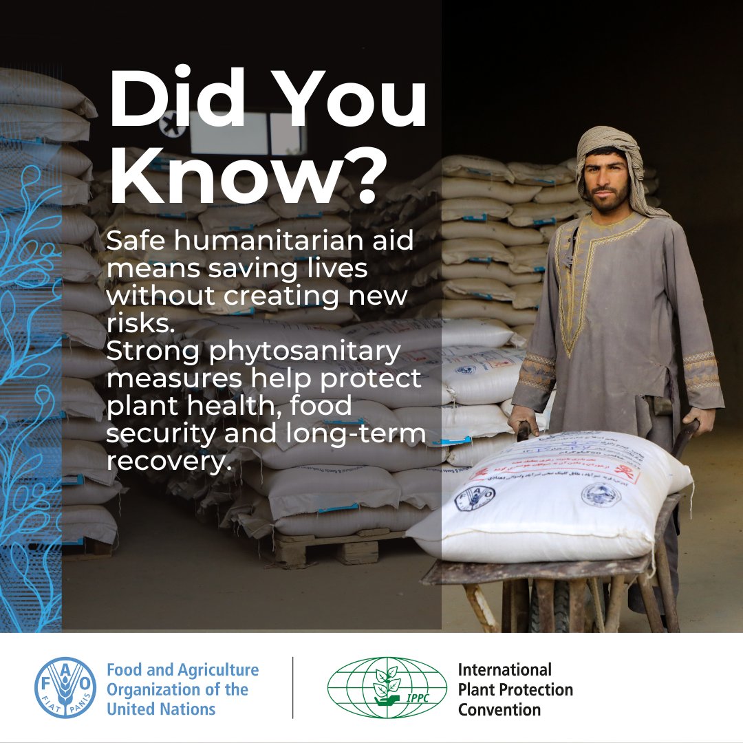 ippcnews's tweet photo. 💡 Did you know?
Humanitarian aid saves lives but it can also unintentionally carry plant pests.
Applying phytosanitary measures helps ensure aid protects food security and recovery.
🎥 Watch the video https://t.co/J7eHbJ49eT
#PlantHealth🌱 #OneHealth #FoodSecurity #SafeAid https://t.co/OzvMw4dfu0