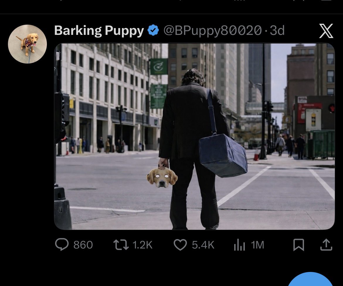 TheRealBarkingPuppy tweet media