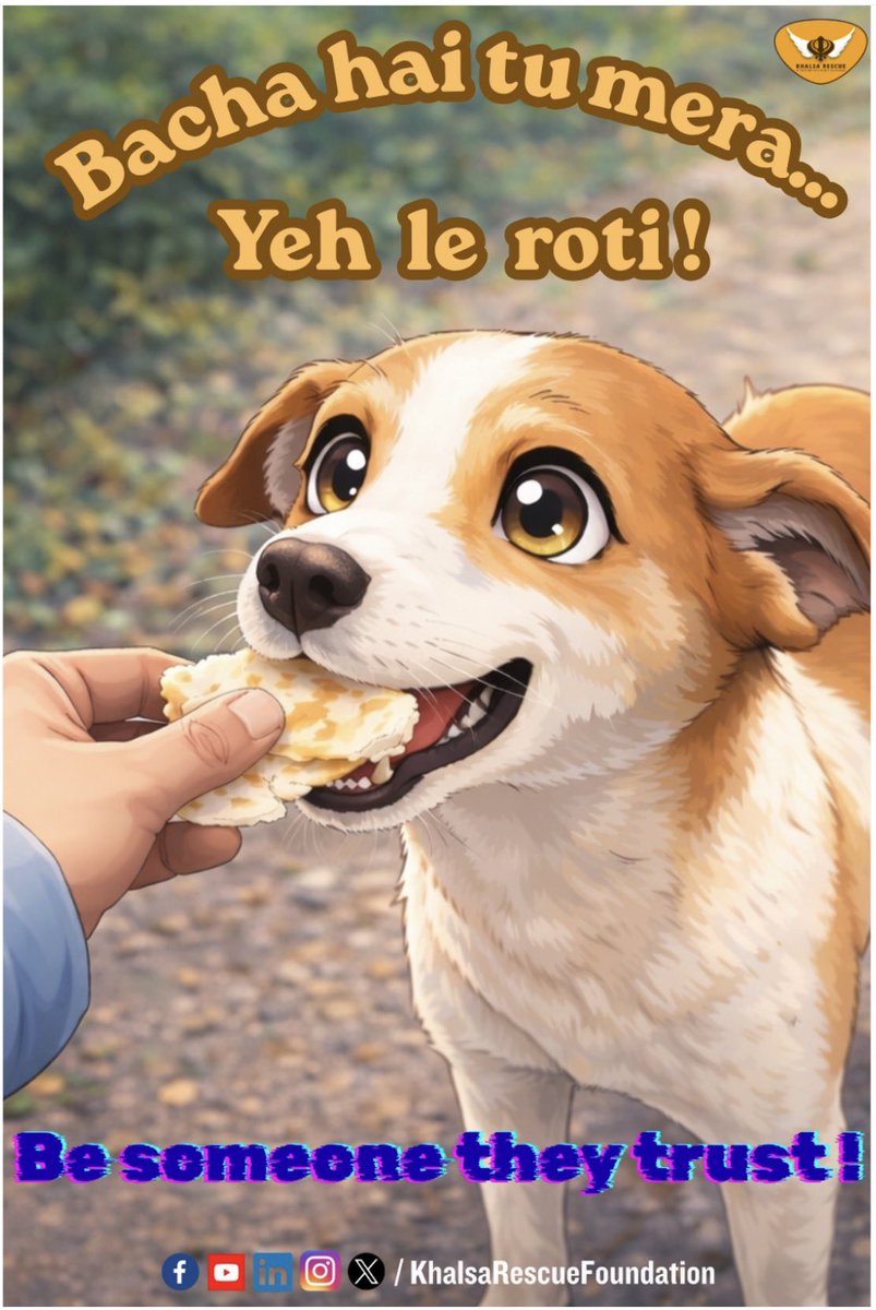 KhalsaRescue's tweet photo. For them, it’s not just food… it’s trust, love, and survival.
A little kindness from us becomes their whole world. ❤️

Next time you see a street dog, don’t ignore…
Be the reason they wag their tail today. 🐶✨

Be someone they trust.

#StreetDogs #KindnessMatters #FeedTheStrays #AdoptDontShop #KhalsaRescueFoundation #BeKind #StreetDogsOfIndia