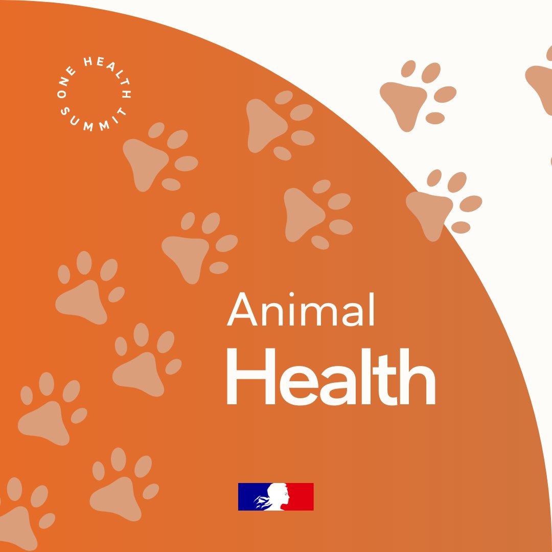 La France en Pologne 🇫🇷🇪🇺 tweet media