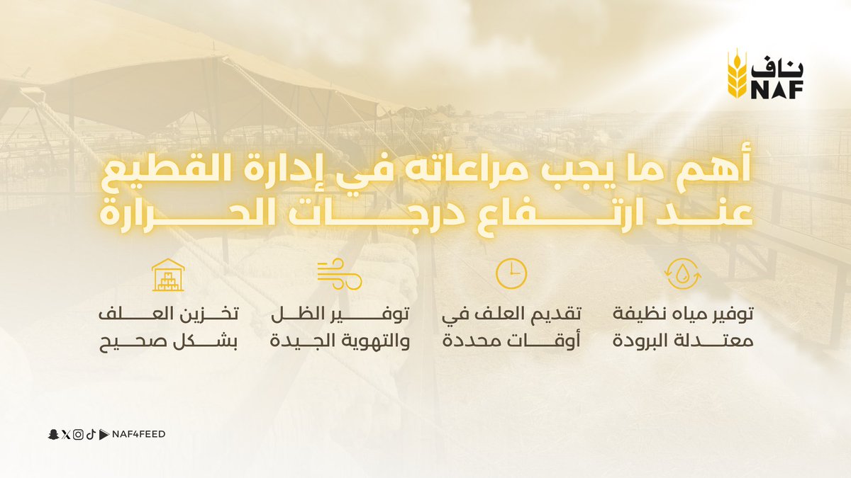 شركة ناف لصناعة الأعلاف tweet media