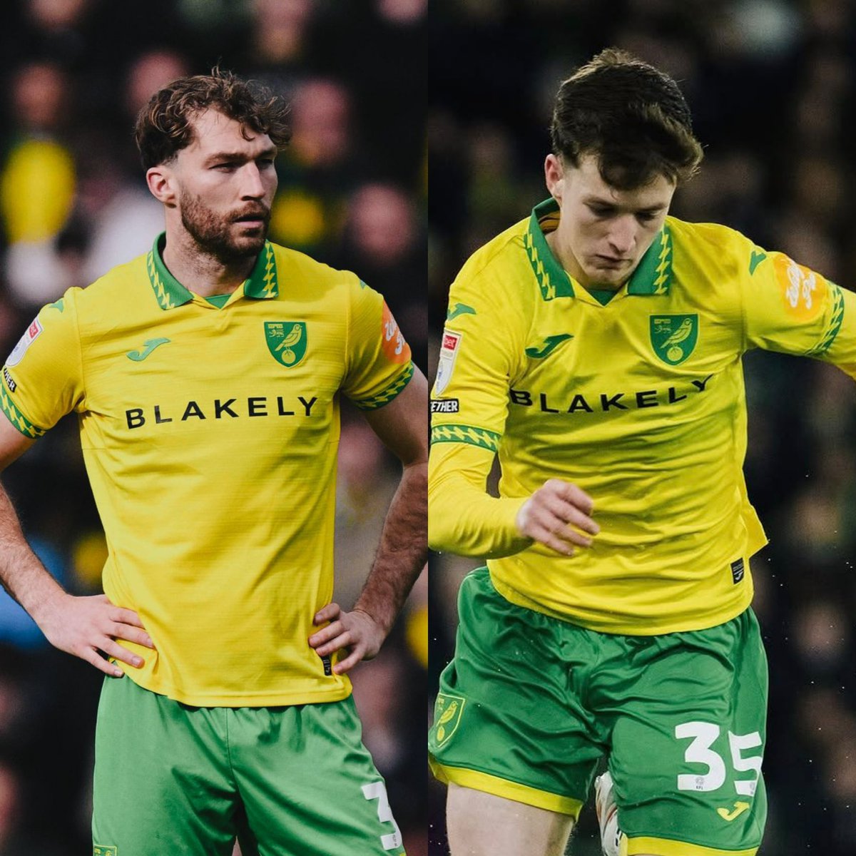 Norwich City Updates tweet media