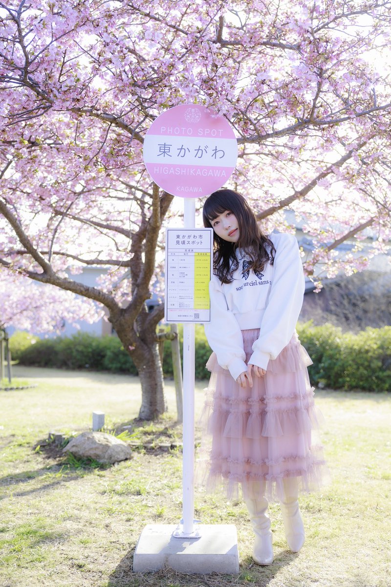 ハクシ tweet media