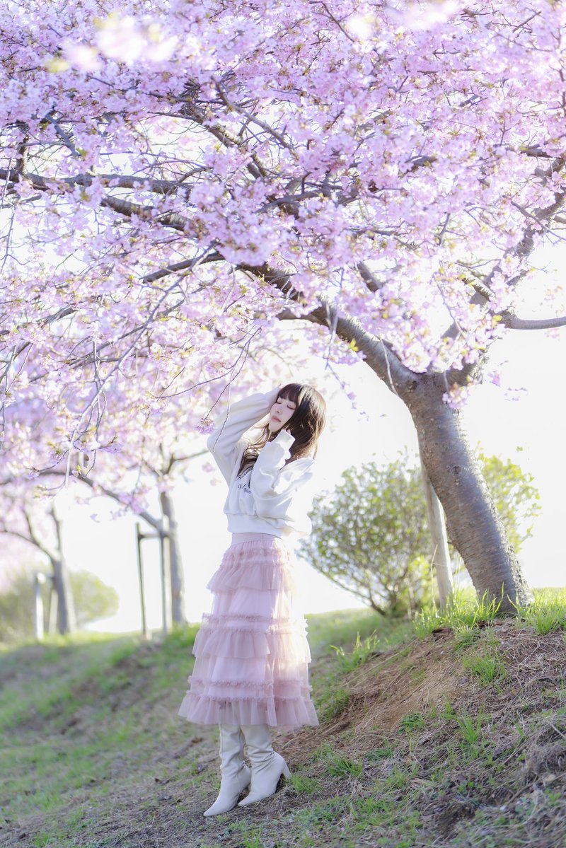 ハクシ tweet media