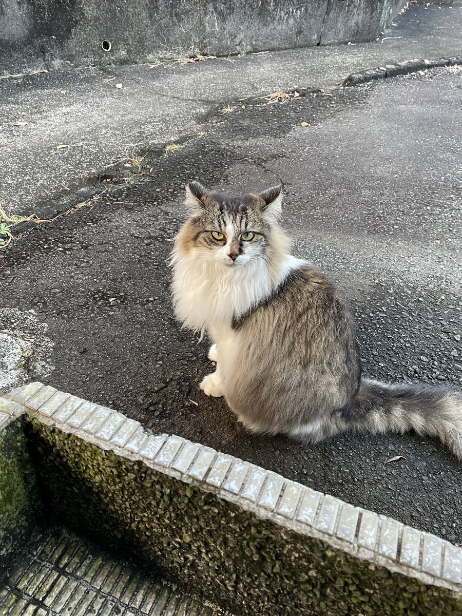 そうねん tweet media