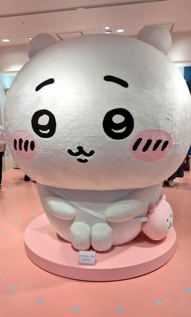 chie★🏠🐖🐩💛 tweet media