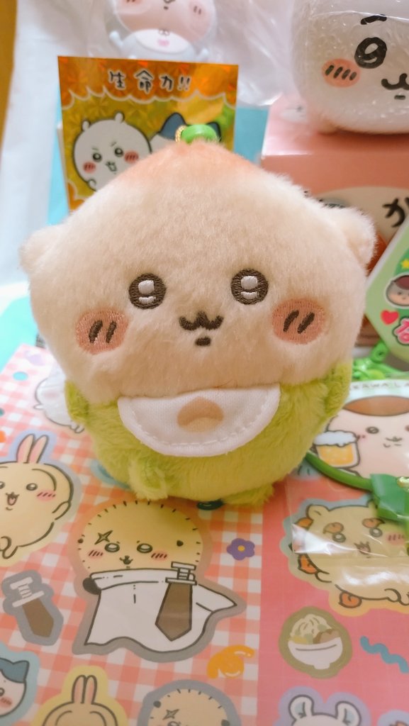 chie★🏠🐖🐩💛 tweet media