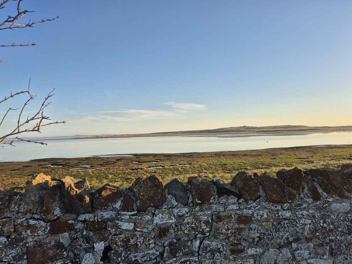 Paul Hay tweet media