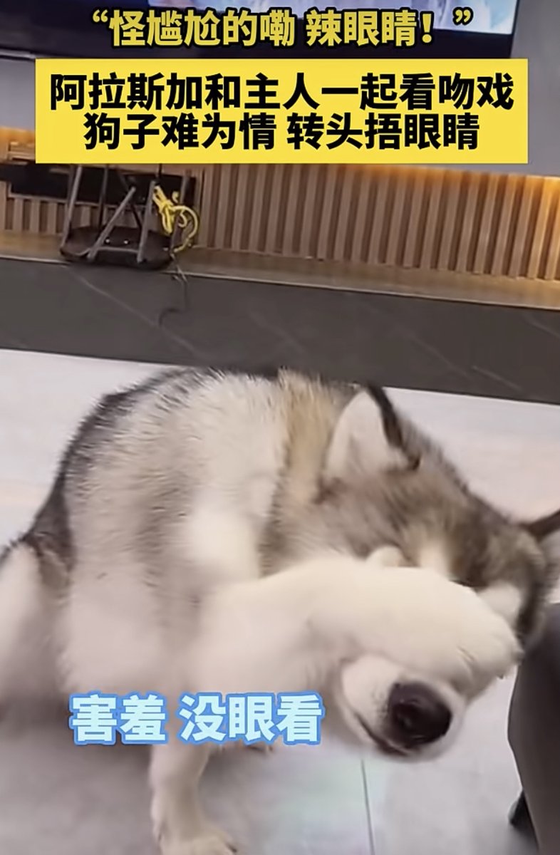 valherue tweet media