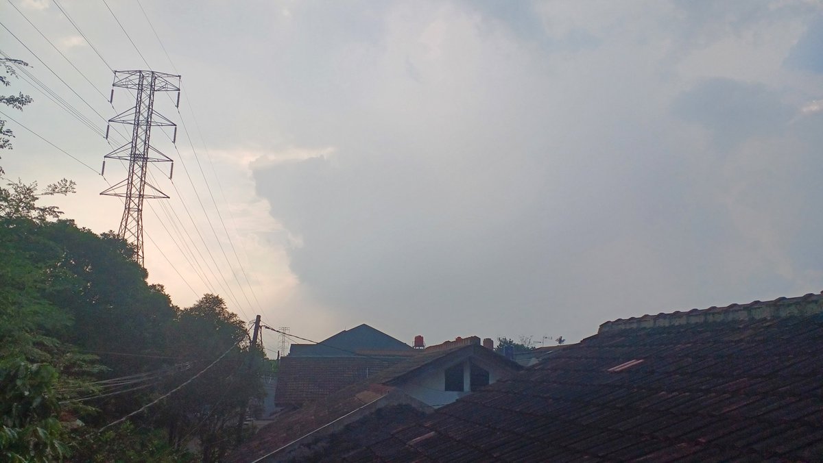 tanipon🌴 tweet media