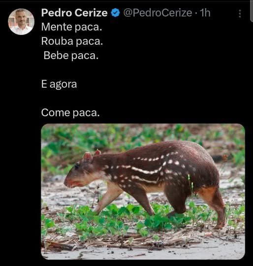 MARCOAPRAMOS's tweet photo. E aí @luisamell 🤔?????? https://t.co/5RlkDXBrgO