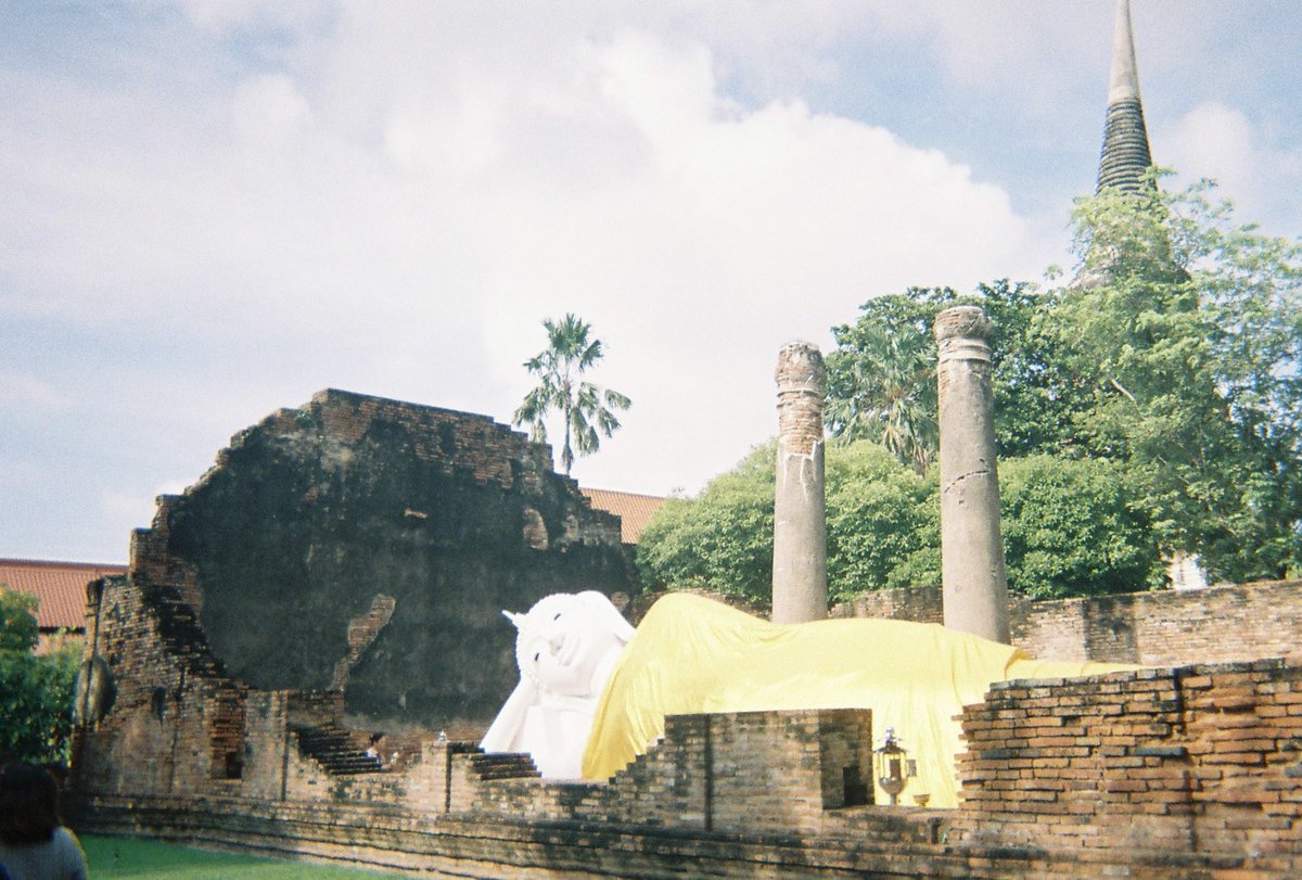 椰子 (@yashikinoko) on Twitter photo 