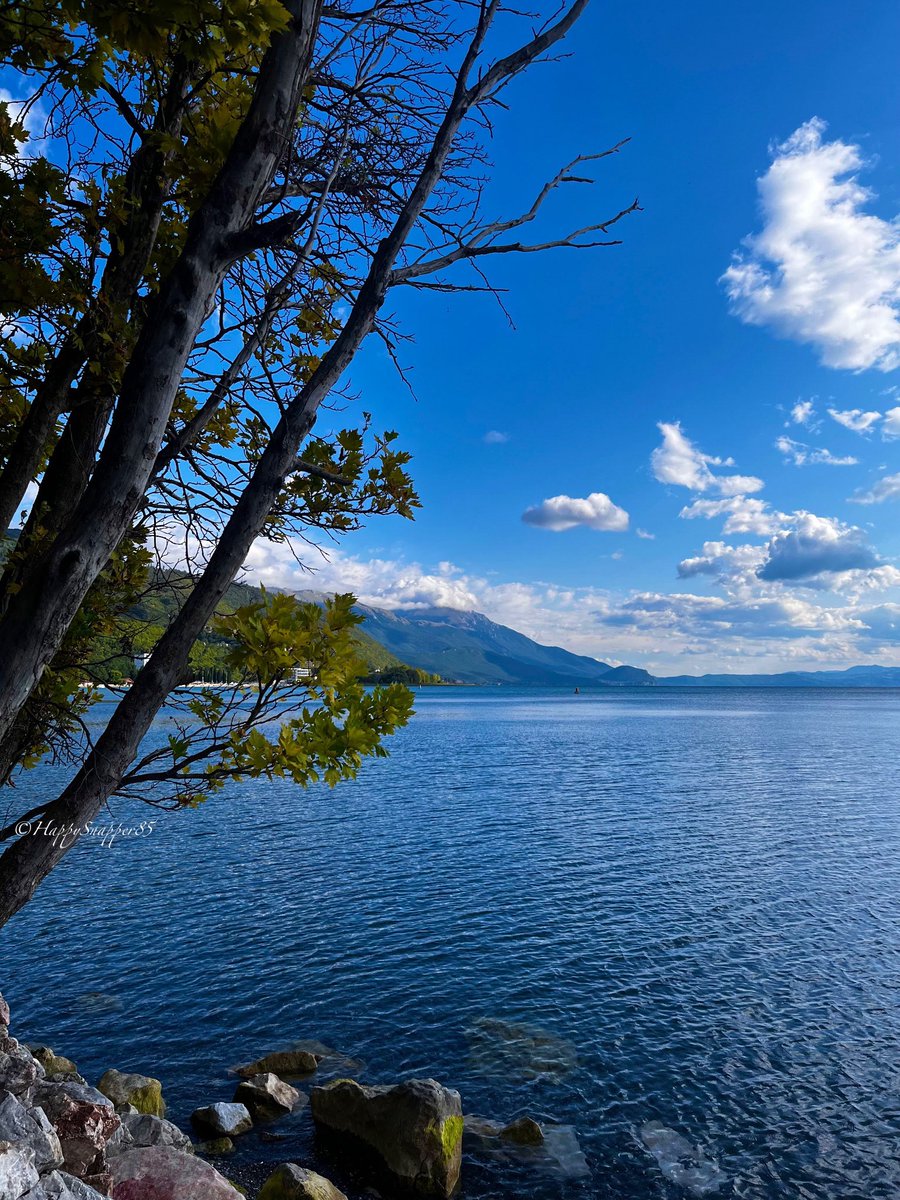 Diana 🦋 tweet media