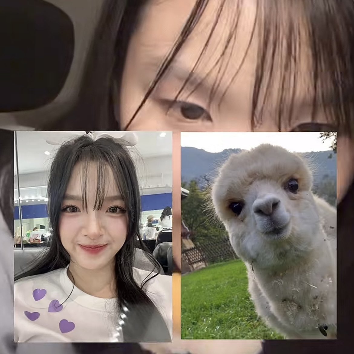 PARA of PraewBNK48 #Parahome tweet media