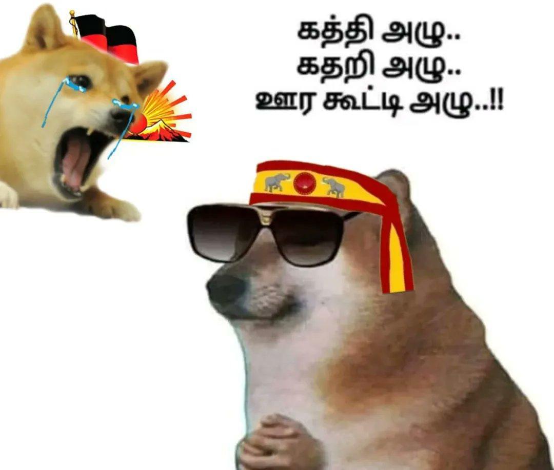 𝙆𝙤𝙝𝙡𝙞 𝘿𝙖𝙨𝙨 ᵀⱽᴷ²⁰²⁶🧊 tweet media