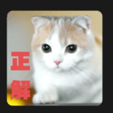 かしわ餅👑 tweet media