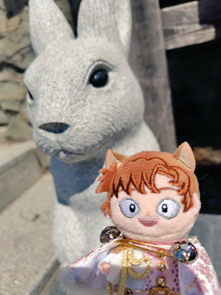 かしわ餅👑 tweet media