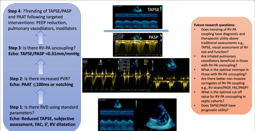 Ahmed Ata tweet media