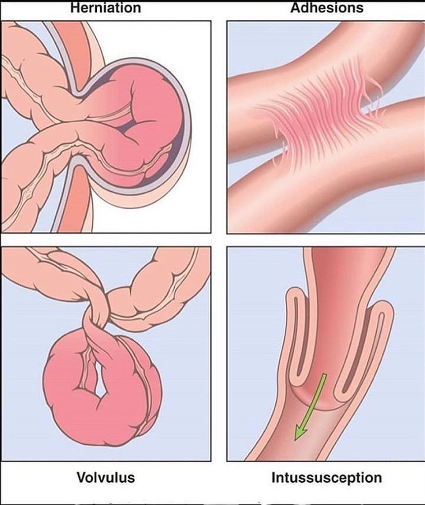 Learn Doctor tweet media