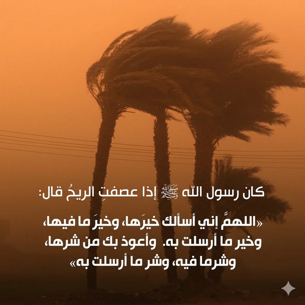 ALTHEEB 狼 🇦🇪💛 الذيــــــــب tweet media