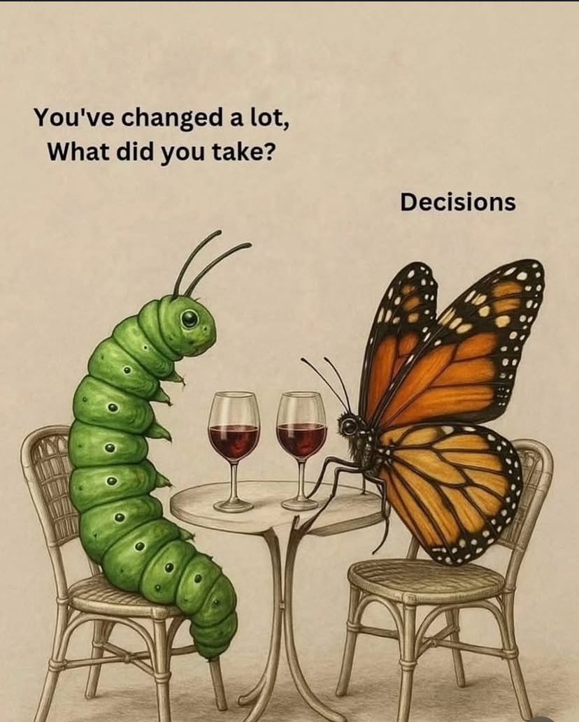 Michael Taiwo tweet media