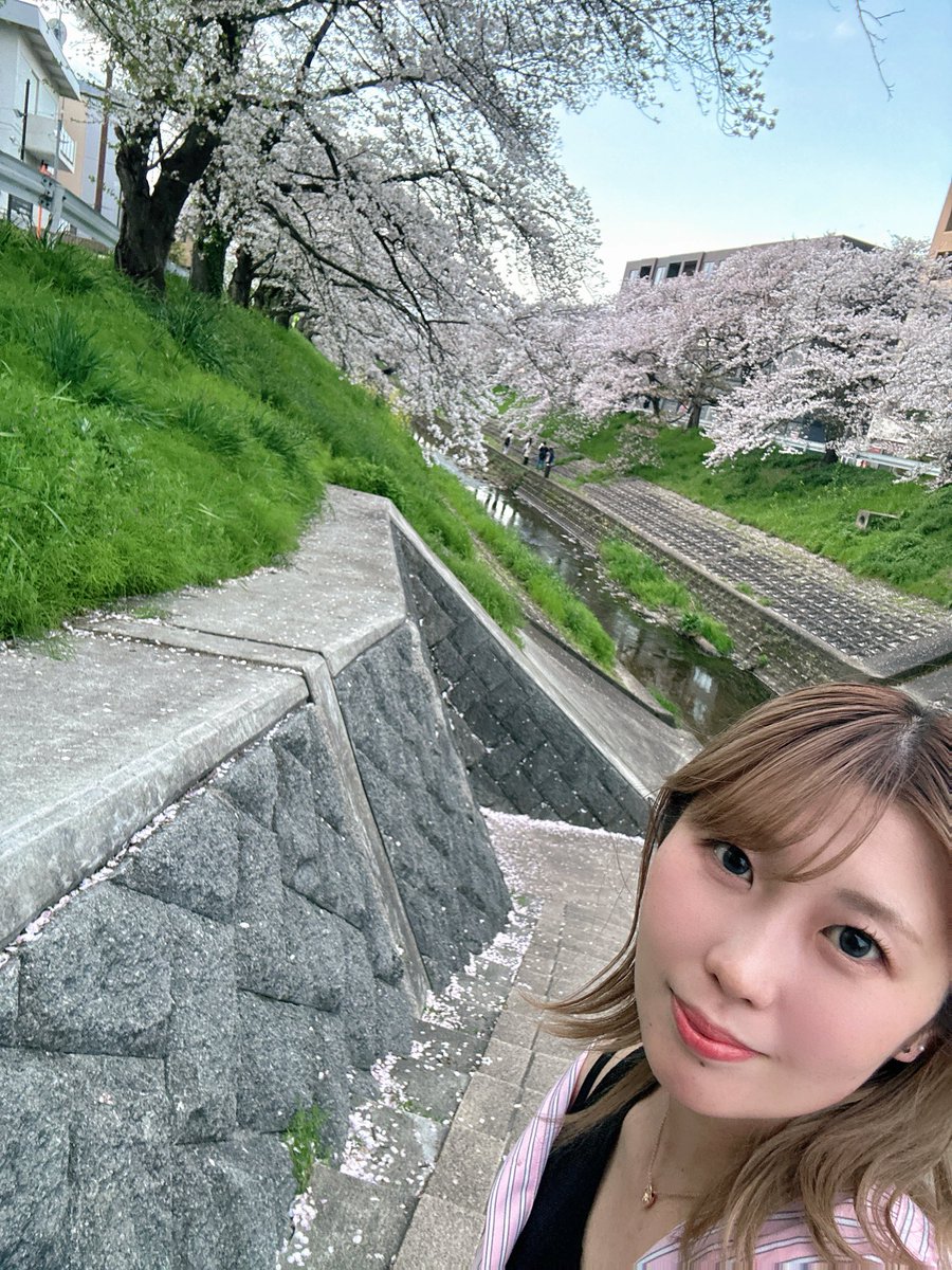 橋本茉侑子@たけちよ tweet media