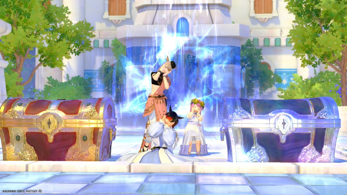 lapi🐈🐾 tweet media