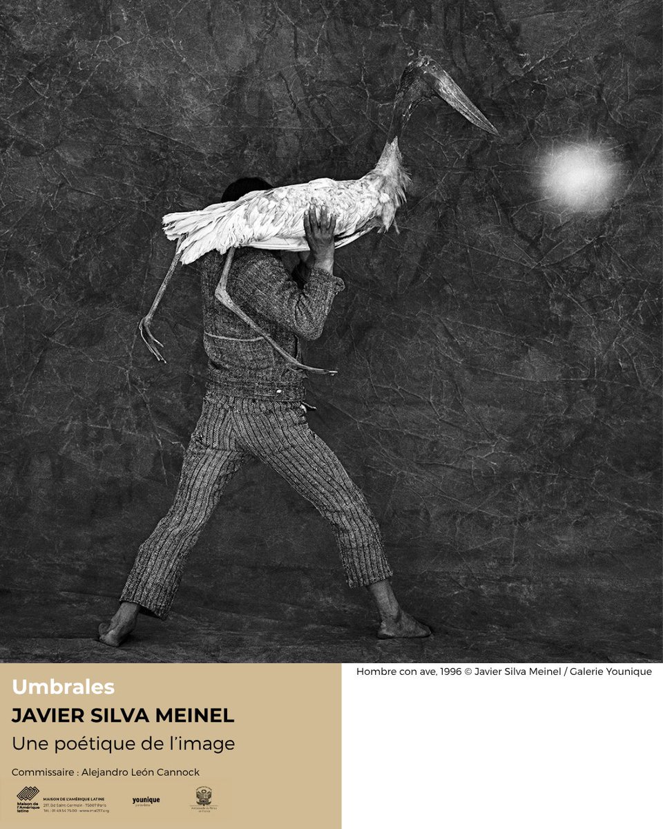 MaisonAmériquelatine tweet media