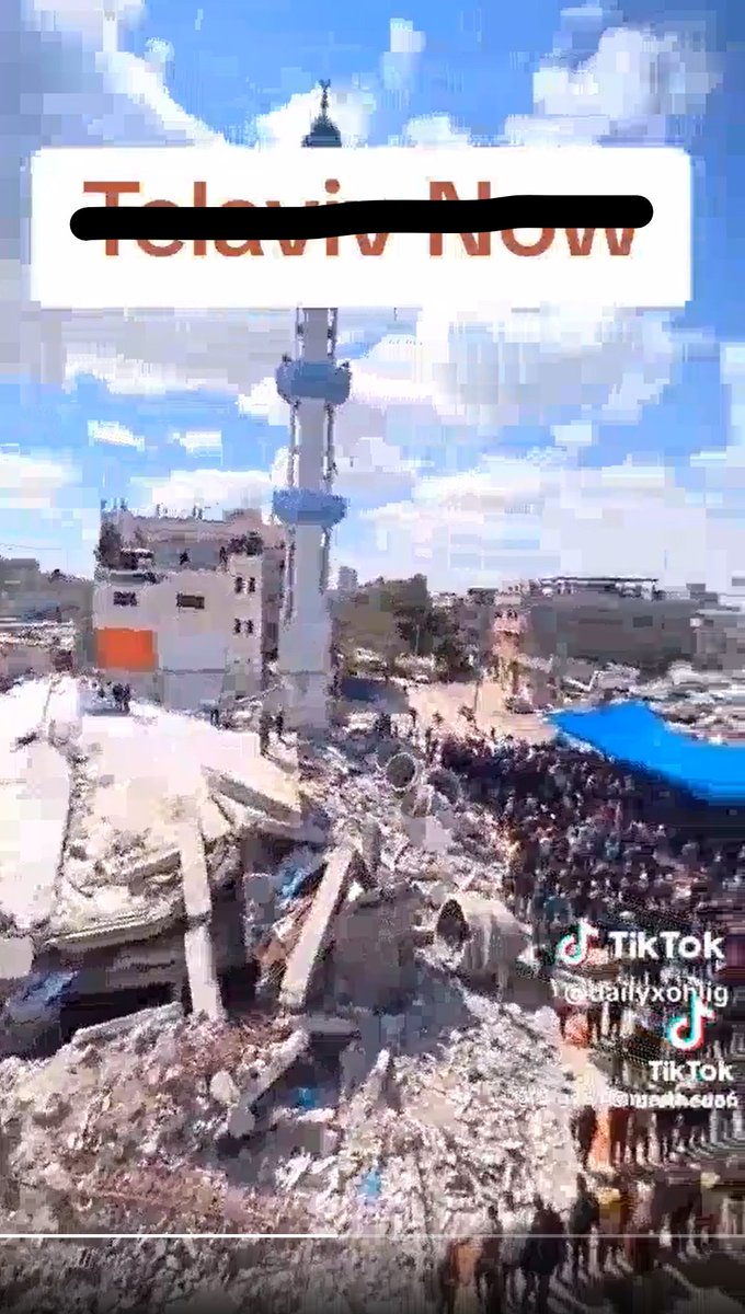 Border Collie (בורדר קולי) tweet media