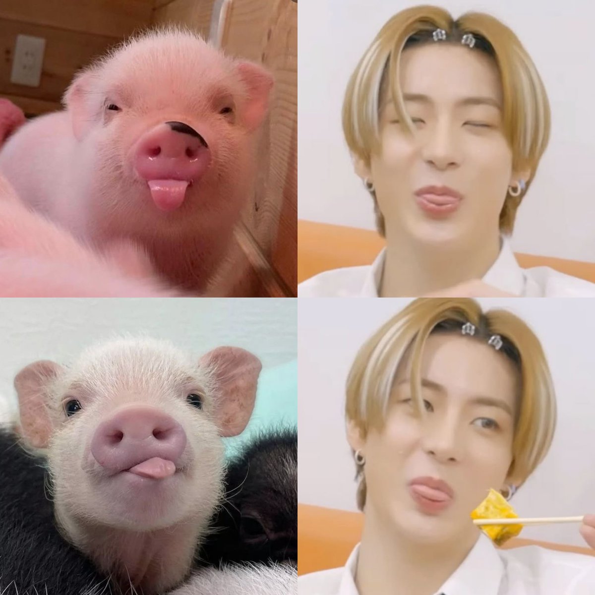 mi meow ‎♡ྀི ˖ tweet media